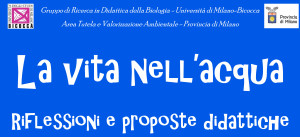 Presentazione standard di PowerPoint