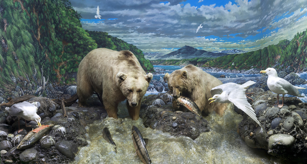 Vai al digital diorama "Rapide di un fiume nordamericano" Fiume