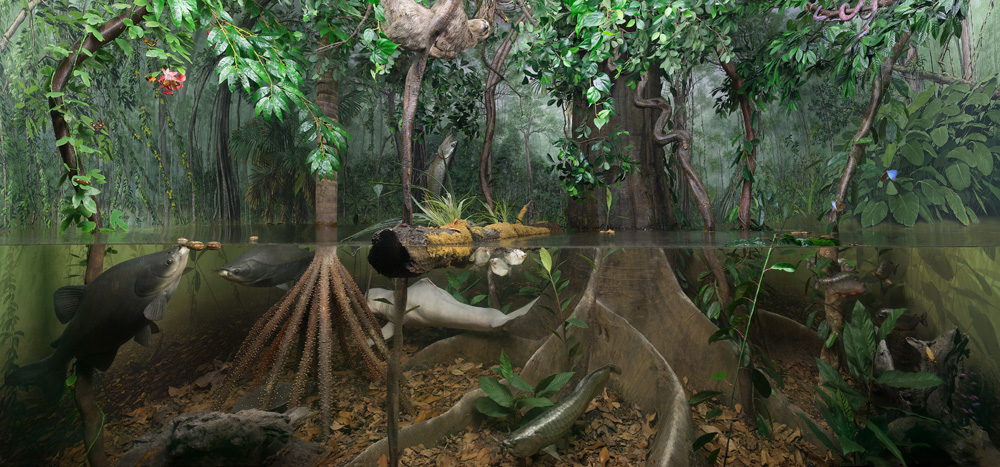 Museo Civico di Storia Naturale Milano