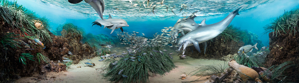 Vai al digital diorama "Mar Mediterraneo" Mediterraneo