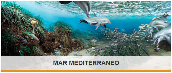 Esplora_Mediterraneo