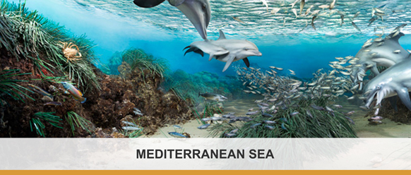 Esplora_MarMediterraneo